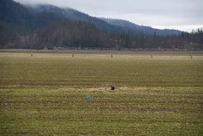 DSC_5859 (Large).JPG